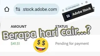 Payout Pertama dari Adobe Contributor ke Paypal