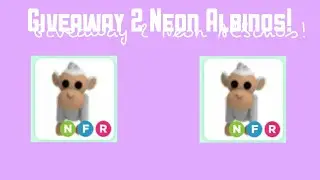 —Giveaway on Neon Albino—!