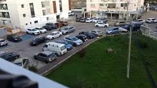 мой дом и стоянка  Israel