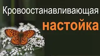 Кровоостанавливающие травы.