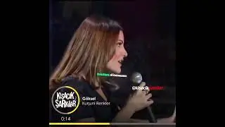 Göksel Kurşun Renkler