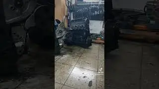 #shortvideo