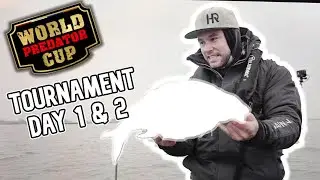 World Predator Cup 2024: A Challenging Solo Adventure!