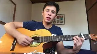 Billie Eilish-Wish you were gay (COVER)