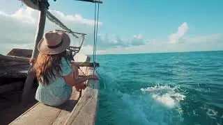 Sax Relax Music: Wild Flight - Roman Kolganov