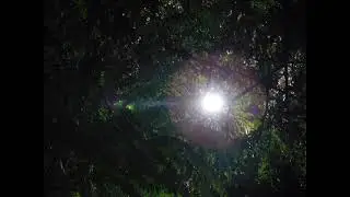 Kel Santos, the Brazilian beauty or the Amazon queen