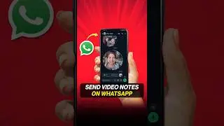 How to send video messages on WhatsApp📱 