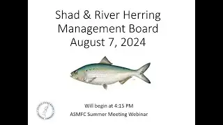 Shad and River Herring Board Proceedings August 2024