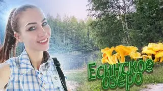 В Московской области ДОФИГА ГРИБОВ, а во Владимирской нет 😲 VLOG: ОТДЫХАЕМ НА ОЗЕРЕ
