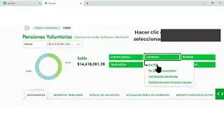 Como realizar aportes por PSE