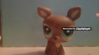 A Slideshow Of Some Of My Lps