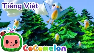 Năm Chú Chim Nhỏ | Bài hát dành cho trẻ em | CoComelon Lồng tiếng việt - Karaoke dành cho trẻ em