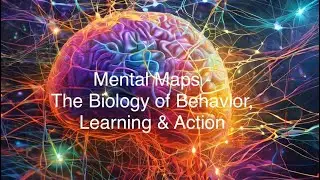 Developing a Mental Map for Medical Care - The Patient Assessment System