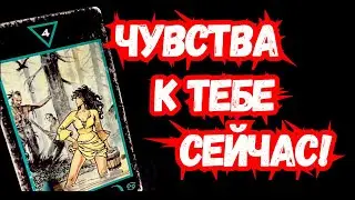 ТАРО для МУЖЧИН.ЕЁ ЧУВСТВА СЕЙЧАС.