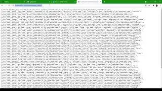 Server Routes using NodeJS, PostgreSQL, Postman and VS Code