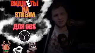 Настройка OBS Studio 2021 Виджеты