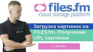 Как загрузить картинку на хостинг files.fm и получить URl картинки. Гайд для PUSH.express