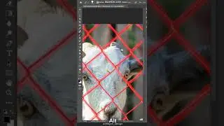 Fence remove | Photoshop Tutorial #design #graphicdesign #photoshoptutorial #photoshop #trick #adobe