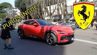 SUPERCARS IN ROME! (PUROSANGUE, MC20, CARRERA 4GTS, PORTOFINO,  RS3, M4, CAMARO, 911...)
