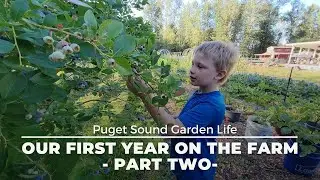 Our First Year on the Farm - Part 2
