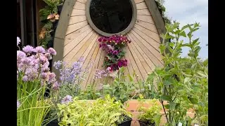 Inplanten eetbare planten met Vera Greutink