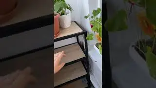 Стеллаж лофт от Space House. Отзыв нашего клиента