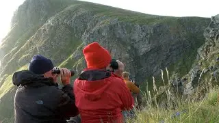 Fuglefjellet på Runde