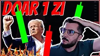 Momentul DECISIV! Alegerile SUA aproape de final, piața crypto în așteptare, ce urmează?🔮