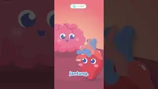 Kapan Denyut Jantung Bayi Pertama Kali Terdeteksi?