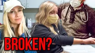 Rushing to the EMERGENCY Room Again with LiLee?
