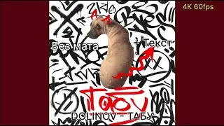 DOLINOV - Табу (без мата + текст, 4К)