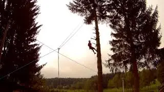 Kuklík - kácení smrku