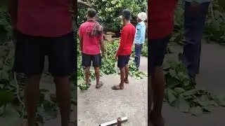 Natural Habitat Maintenance