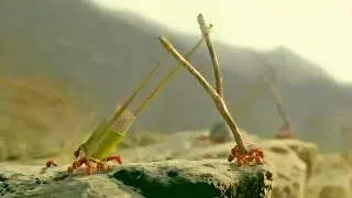 The Ants Have Used Toothpicks to Create Perfect Weapons. Now War With Mankind is Inevitable