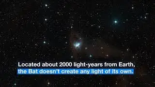 A Cosmic Bat in Flight