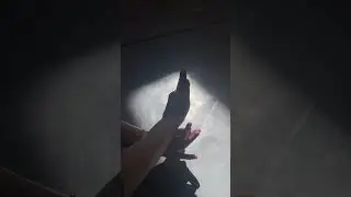 Ухватив солнечный луч