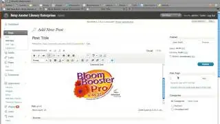Creating Posts for the News Section via Wordpress