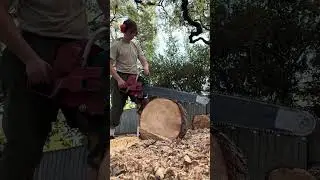 Homelite 770d Cutting