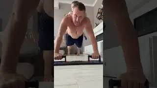 Тигр и Лев 👌