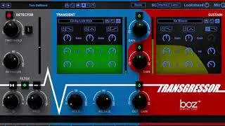 Transgressor Demo - Boz Digital Labs