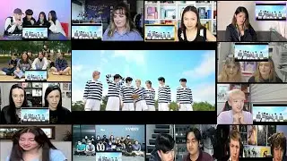 ENHYPEN (하이브) Tamed-Dashed Official MV Reaction Mashup