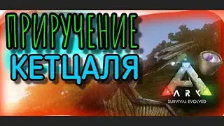 ПРИРУЧЕНИЕ КЕТЦАЛЯ в ARK Mobile | Ark mobile, Ark Survival Evolved Mobile, Арк мобайл