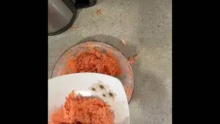 Carrot salad