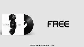 Andy BUMUNTU - FREE [Official Lyrics Video]