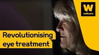From eyeball injections to eye drops for sight loss | Wellcome