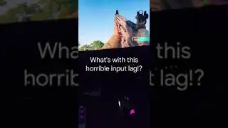 Horrible input lag in 