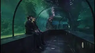 Börü 2039  Turan İsimli Bir Mal Bu Abi