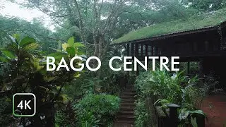 🇲🇲 Rainy Day Walk at The Ecological Park | Binaural Rain Sounds on Umbrella for Relax|Study|Sleep
