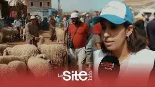 بالفيديو - نصائح 