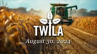 TWILA— August 30, 2024